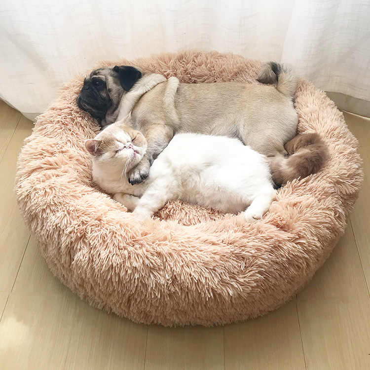 Marshmallow bed for hot sale dogs and cats