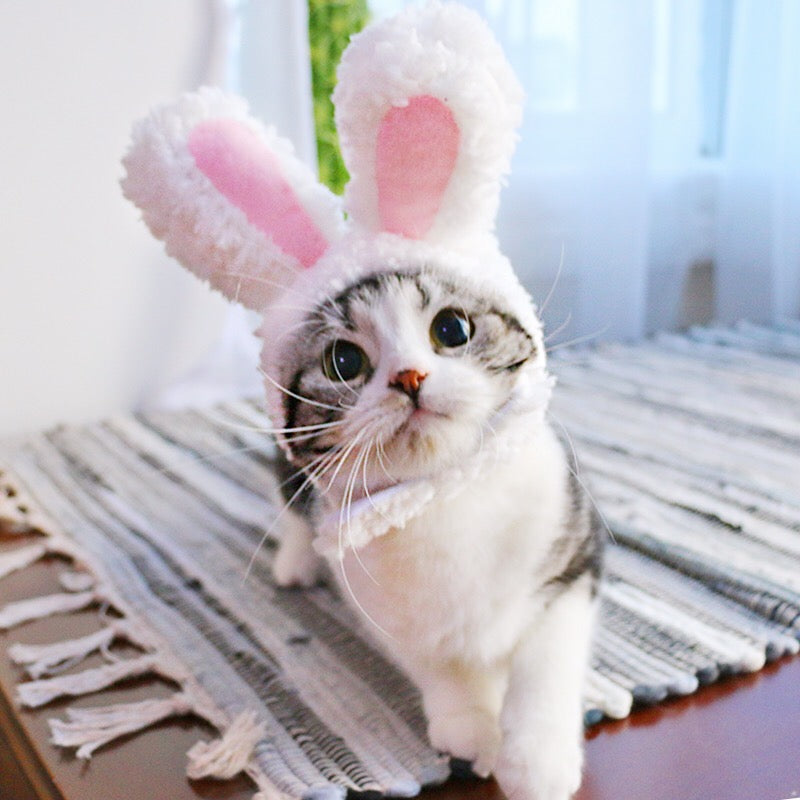 Bunny Cat Costume (White) - Petites Paws