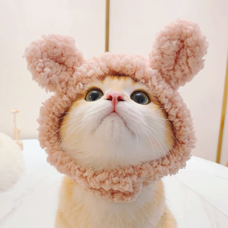 Bear Cat Costume - Petites Paws