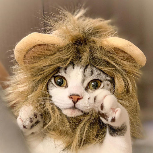 Lion Mane Cat Costume