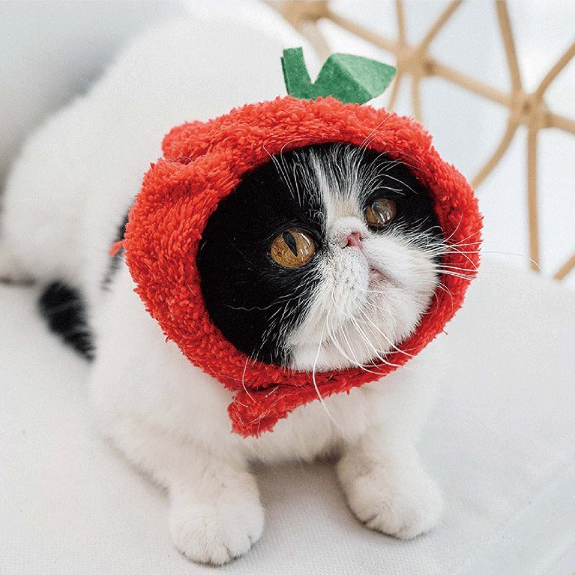 Apple Cat Costume