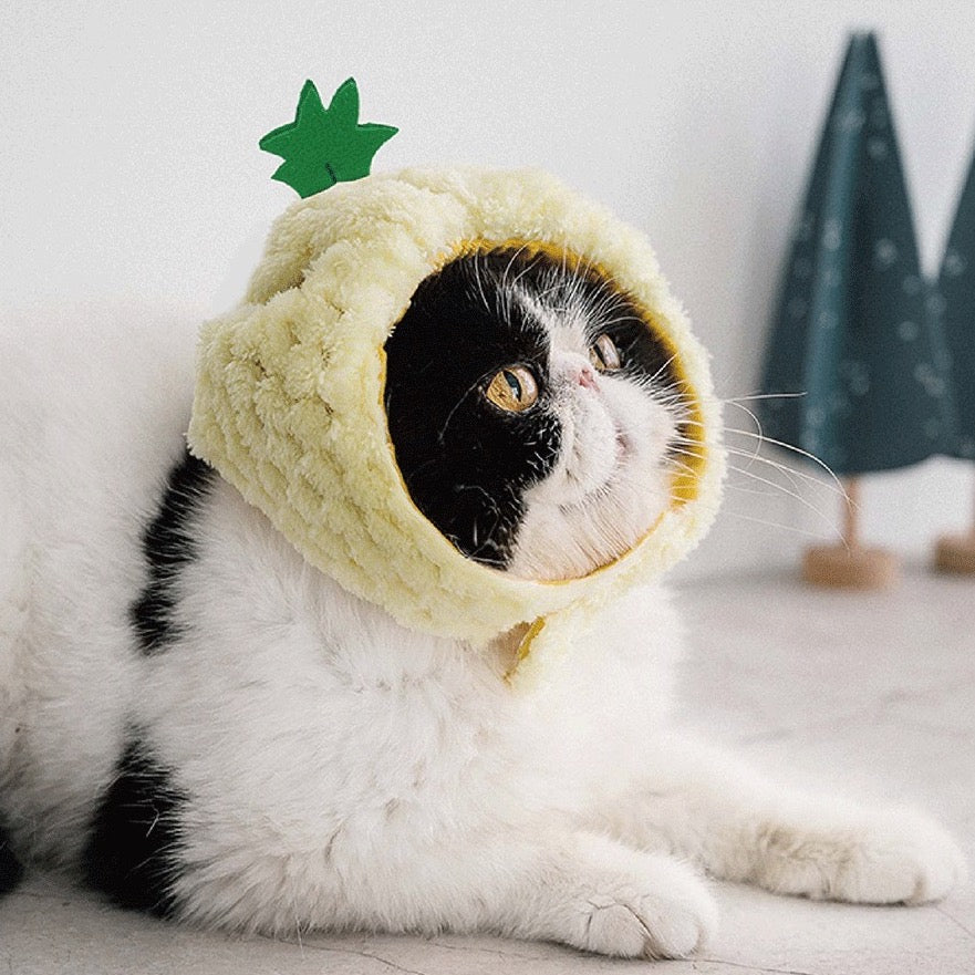 Pineapple cat costume