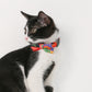 Pidan Modern Abstract Cat Collar - Petites Paws