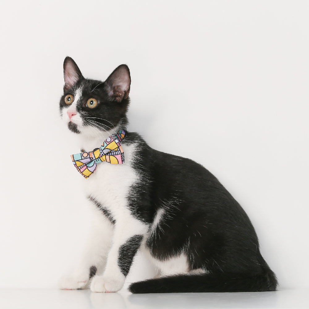 Pidan Mosaic Geometric Cat Collar - Petites Paws
