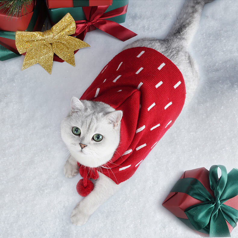 Little Red Riding Hood Cat Costume