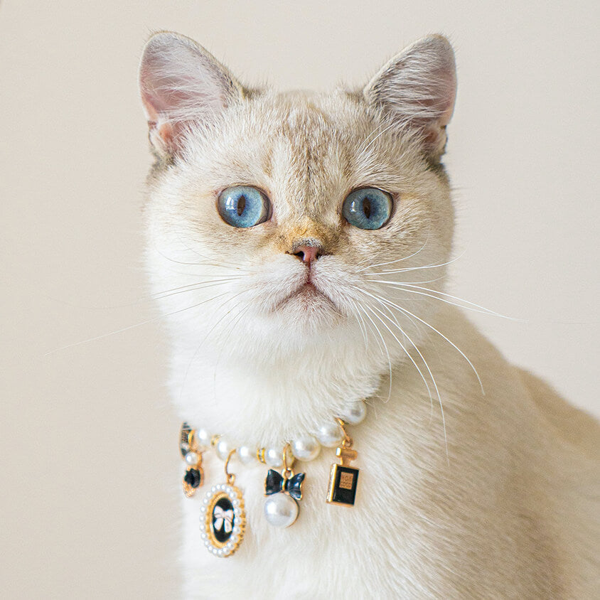 Chic Cat Pearl Collar with Charms