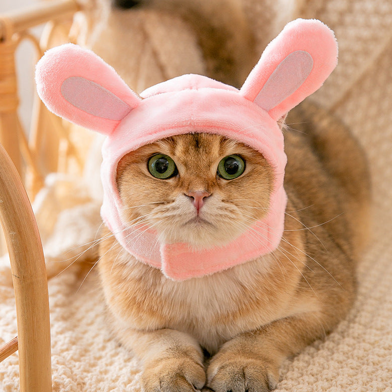 Pink bunny cat costume