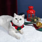 Cat with Crochet Christmas Cat Collar