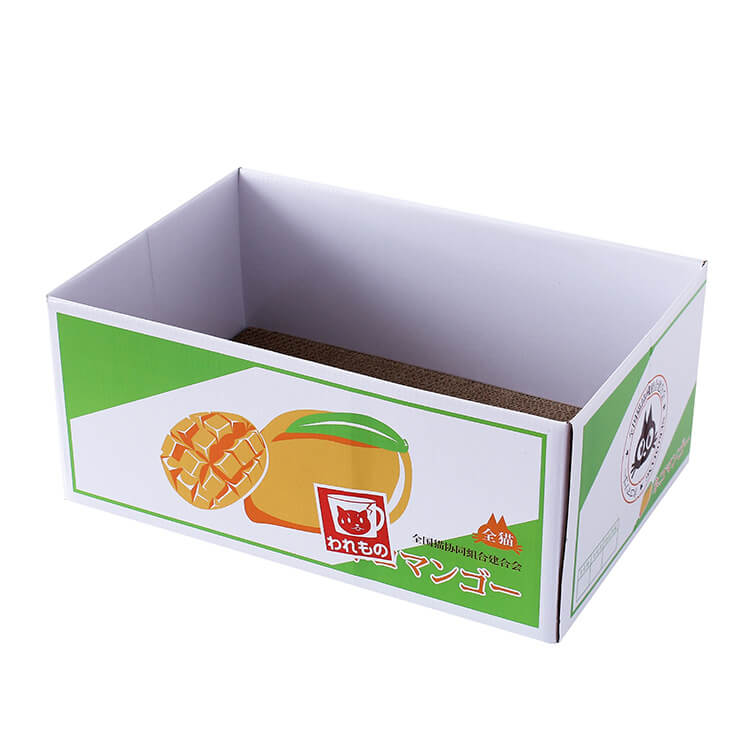 Japanese Kawaii Green Cat Scratch Box with Cardboard