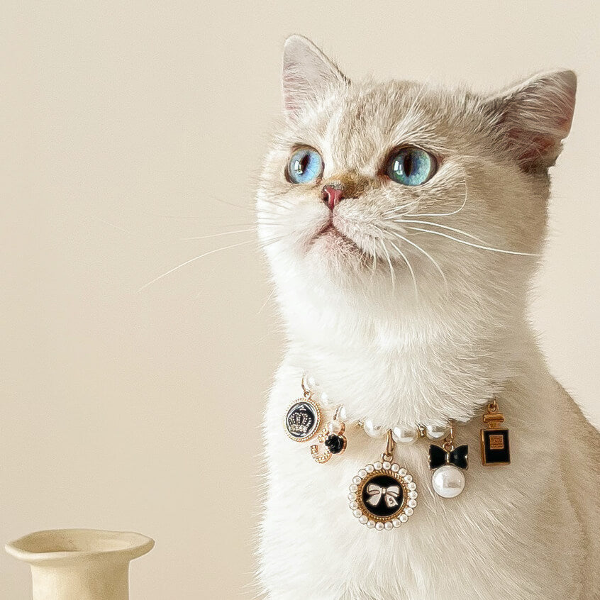 Chic Cat Pearl Collar with Charms