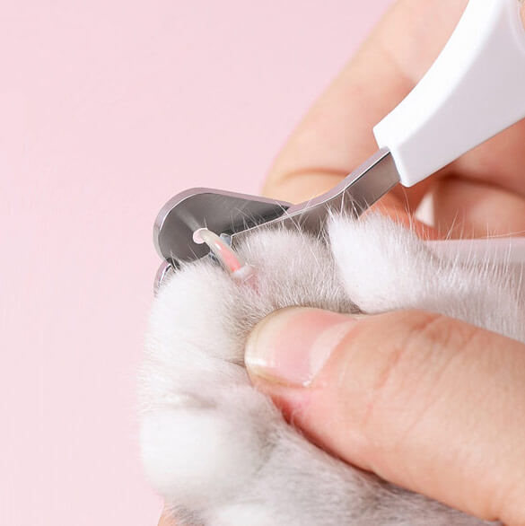 Nail deals clipper cats