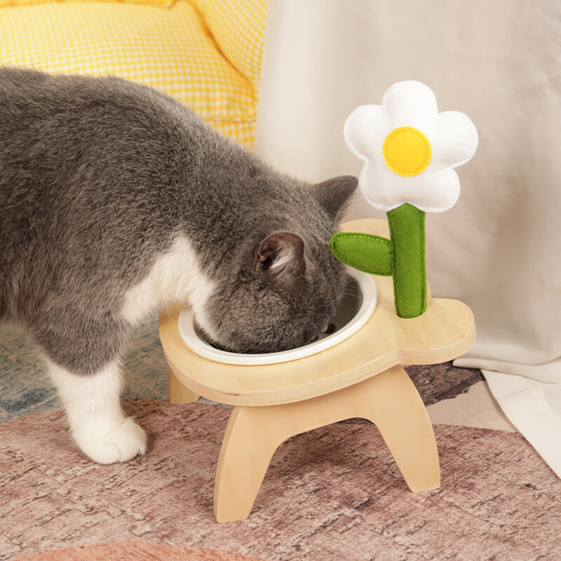 Cat eating with Forest Feast Elevated Cat Feeding Bowl with fabric flower