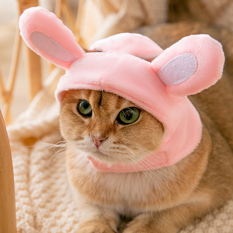 Cat easter bunny outlet costume