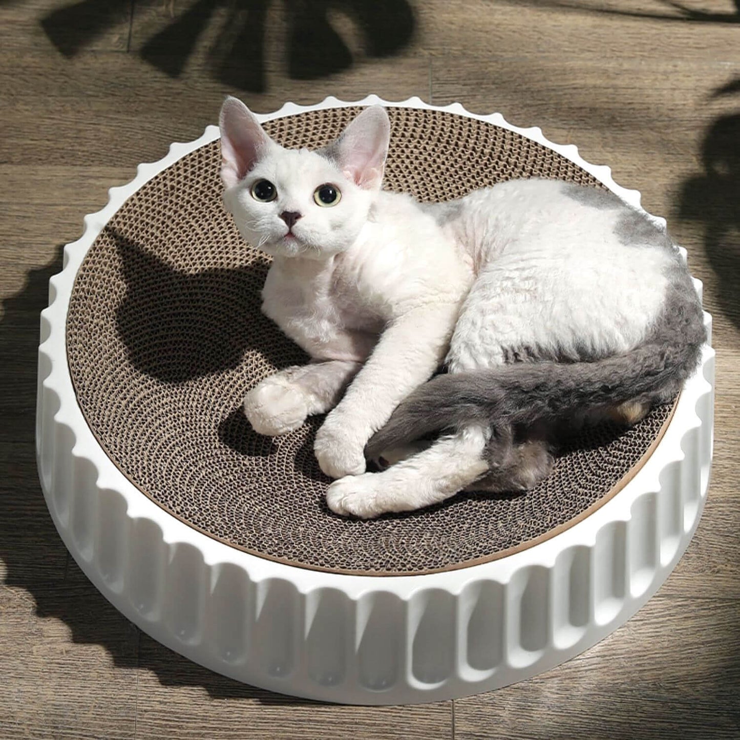 Curvy Replaceable White Round Cat Scratcher