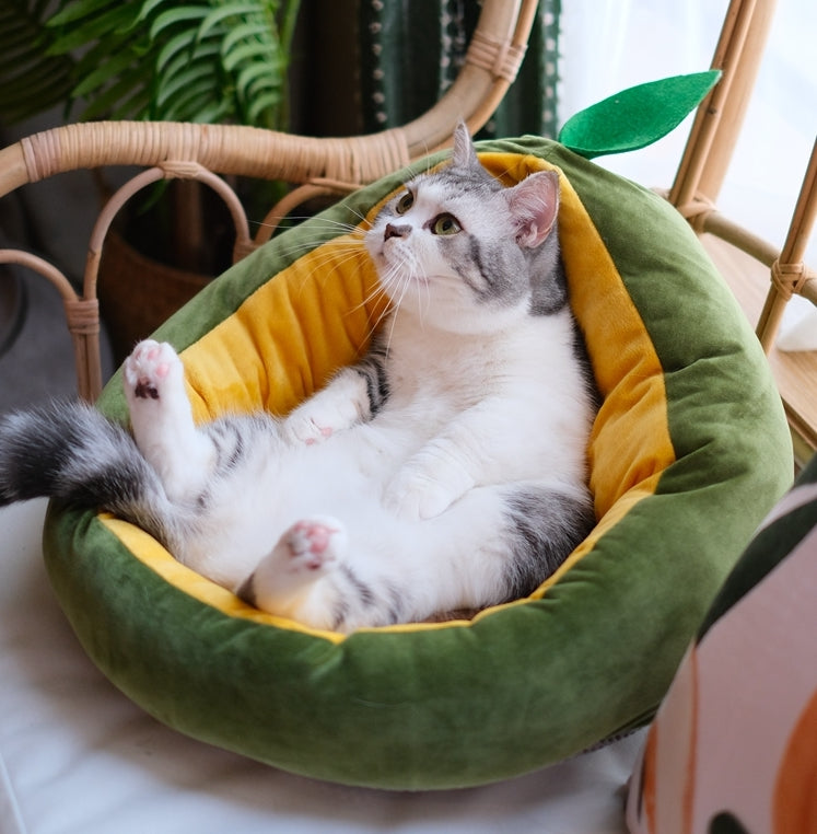 Avocado sales cat bed