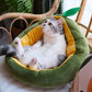 Avocado Cozy Pet Bed - Petites Paws