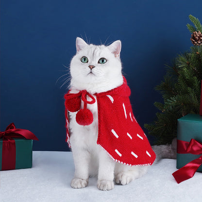 Little Red Riding Hood Cat Costume