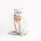 Emoji Soft Cat Bib Bandana - Petites Paws