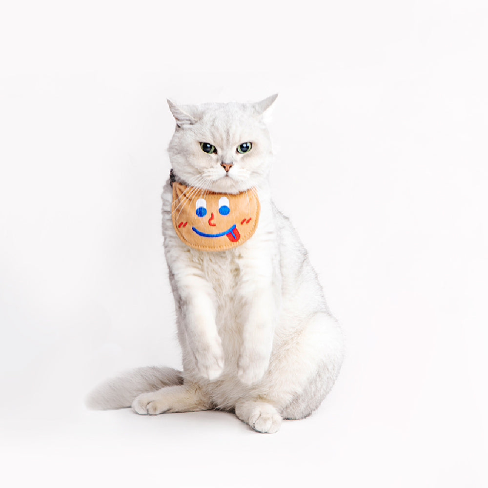 Emoji Soft Cat Bib Bandana - Petites Paws