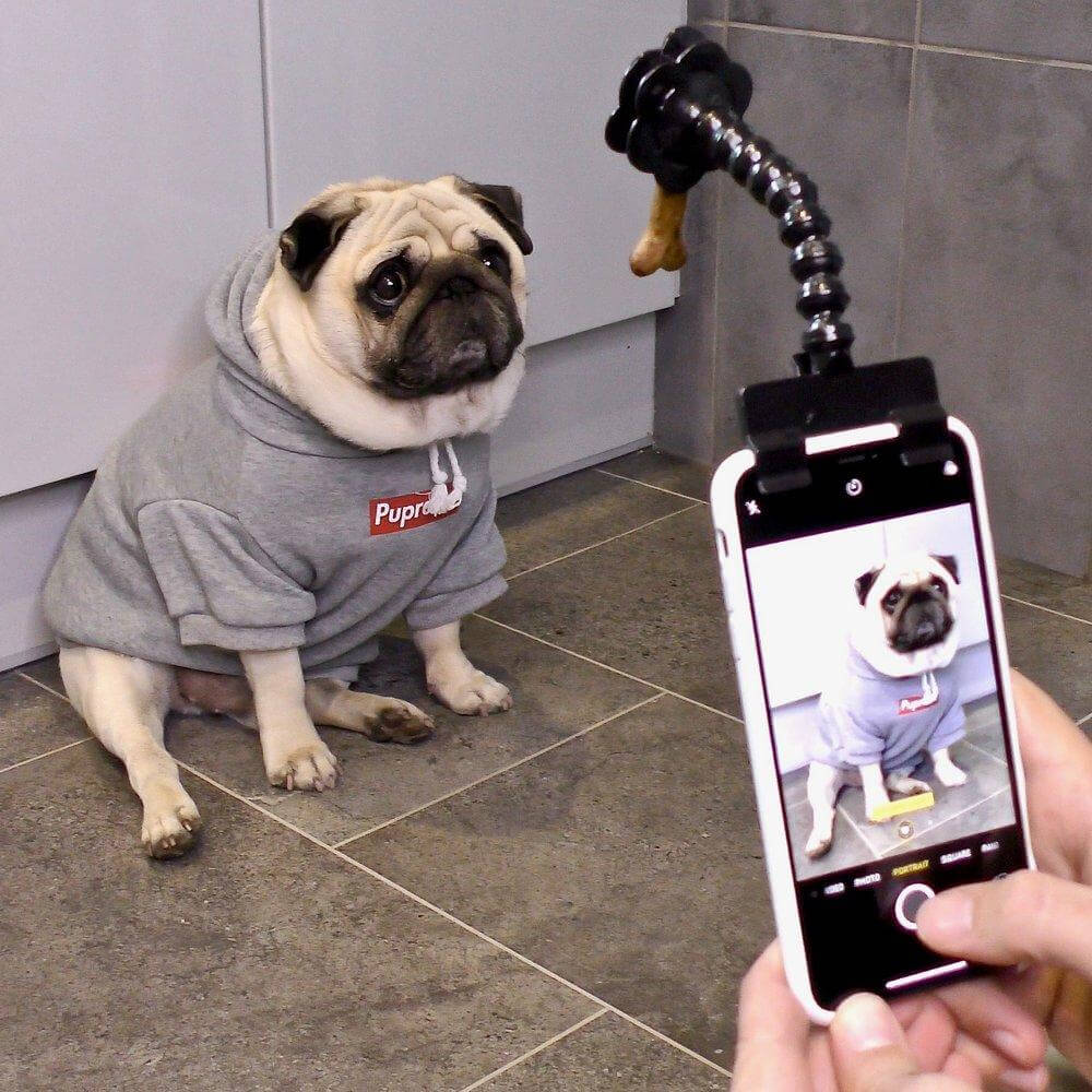 FlexyPaw - Selfie Stick for Pets