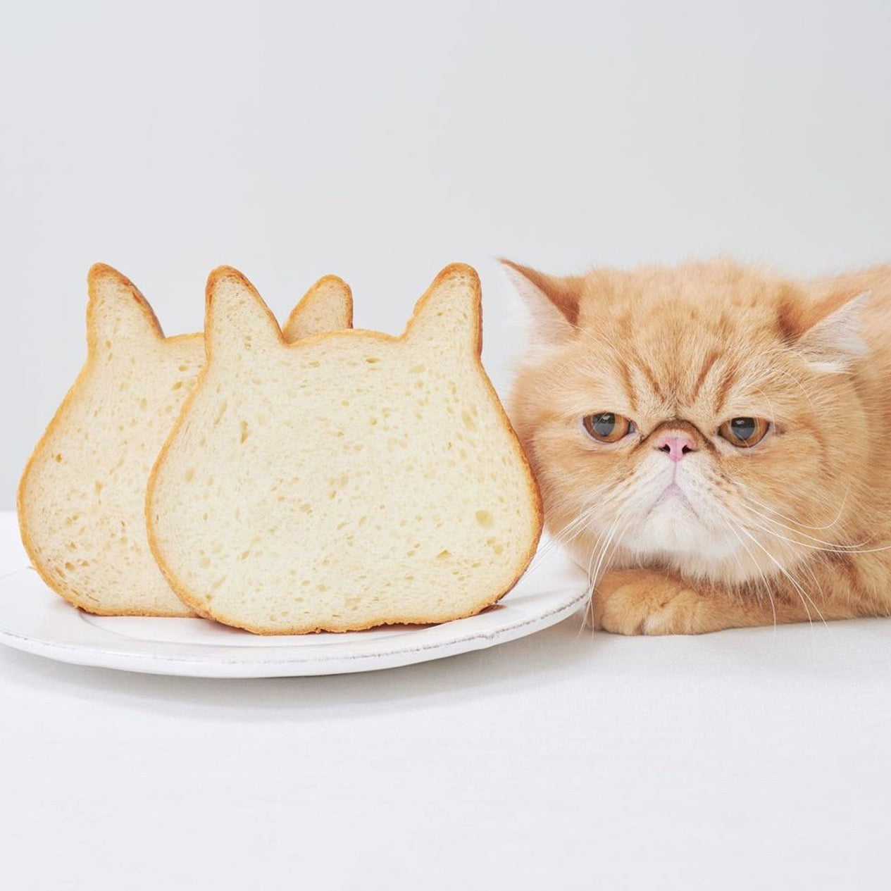 Cat Shaped Loaf Pan - Petites Paws
