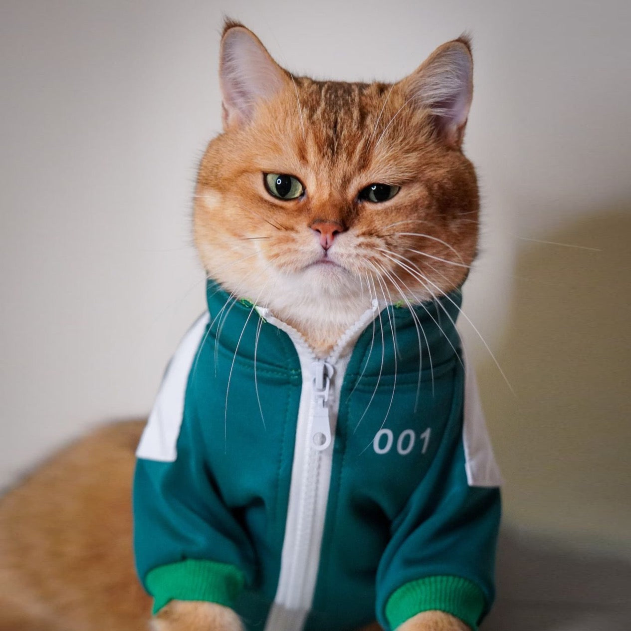 Squid Game Cat Costume