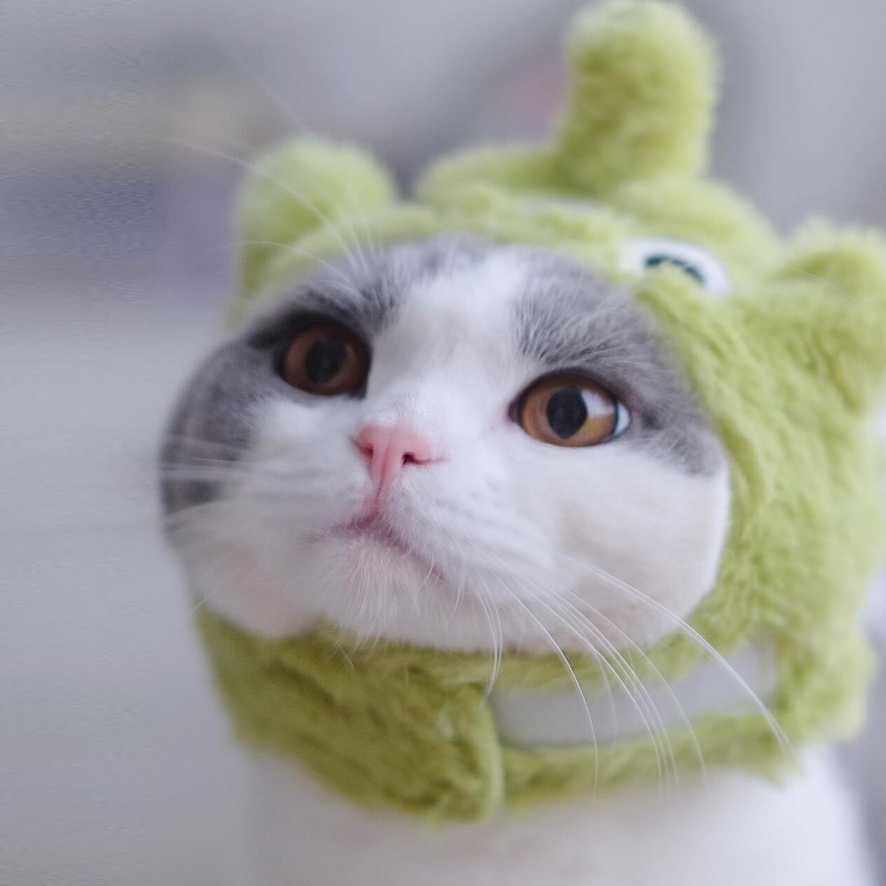 Alien Toy Story Cat Costume