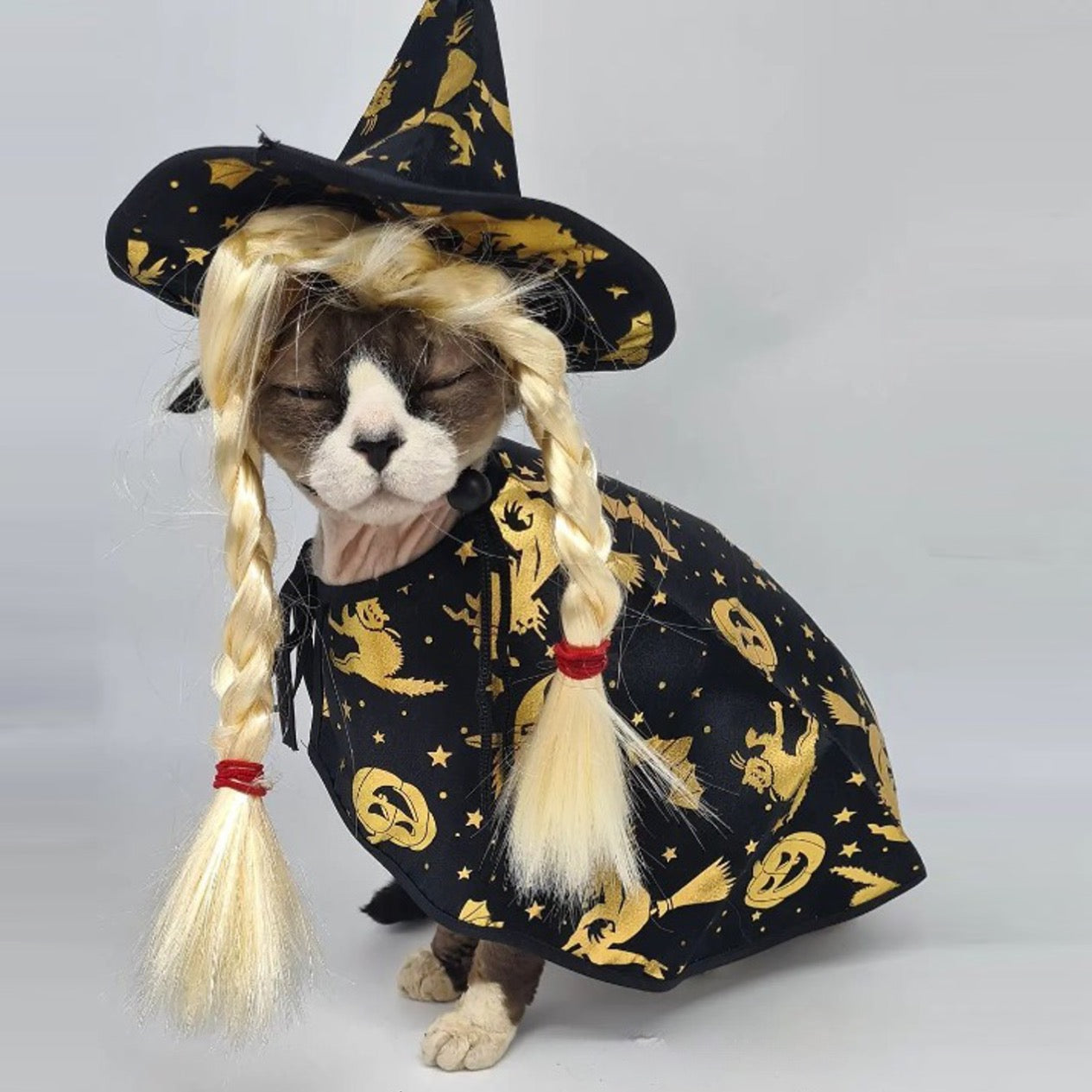 Glitter Witch Cat Costume