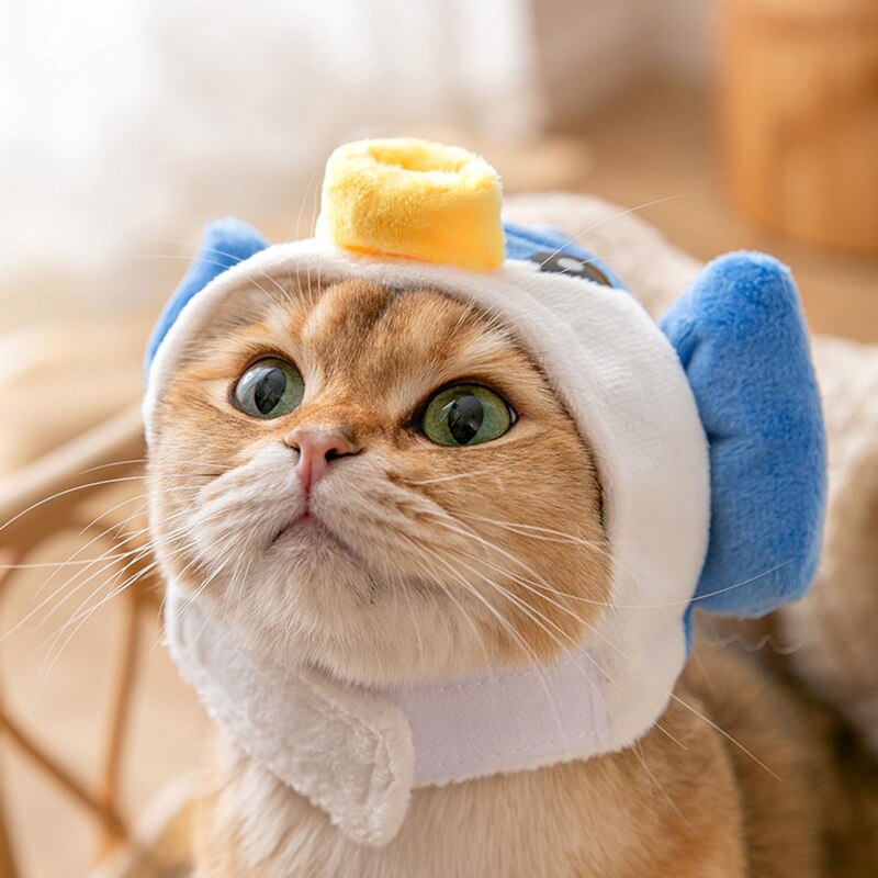 Fish Cat Costume