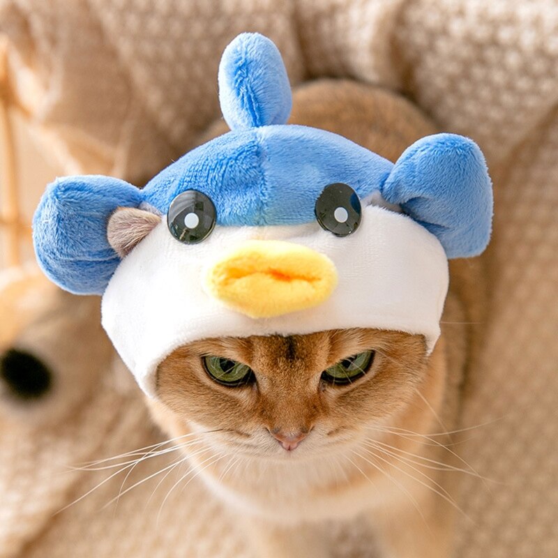 Fish Cat Costume