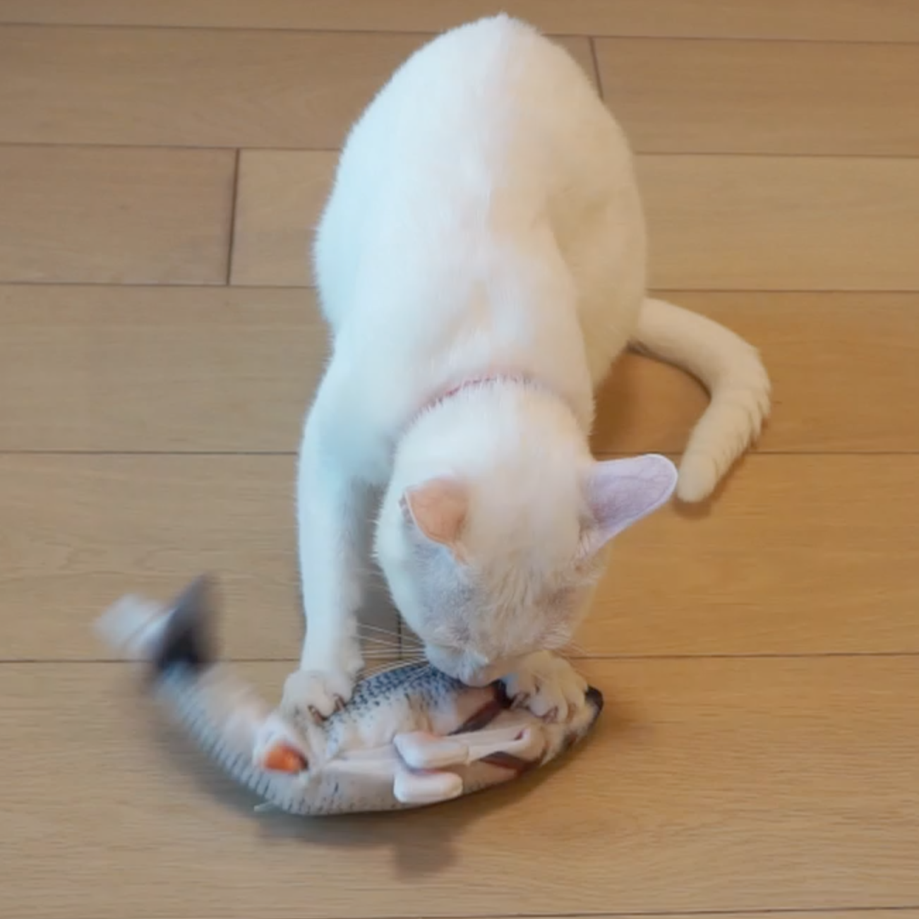 Dancing Fish Catnip Kicker Toy