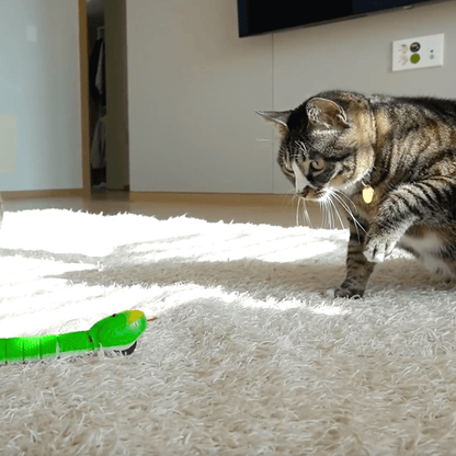 Cats playing with a Lifelike remote control Moving Snake Cat Toy