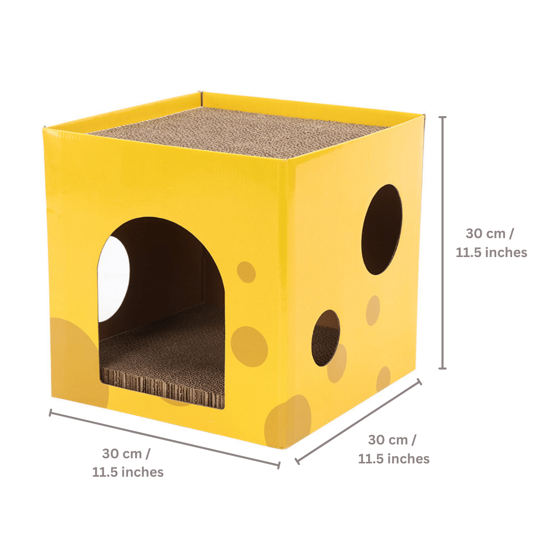 Say Cheese Cat Scratcher Cube - Petites Paws