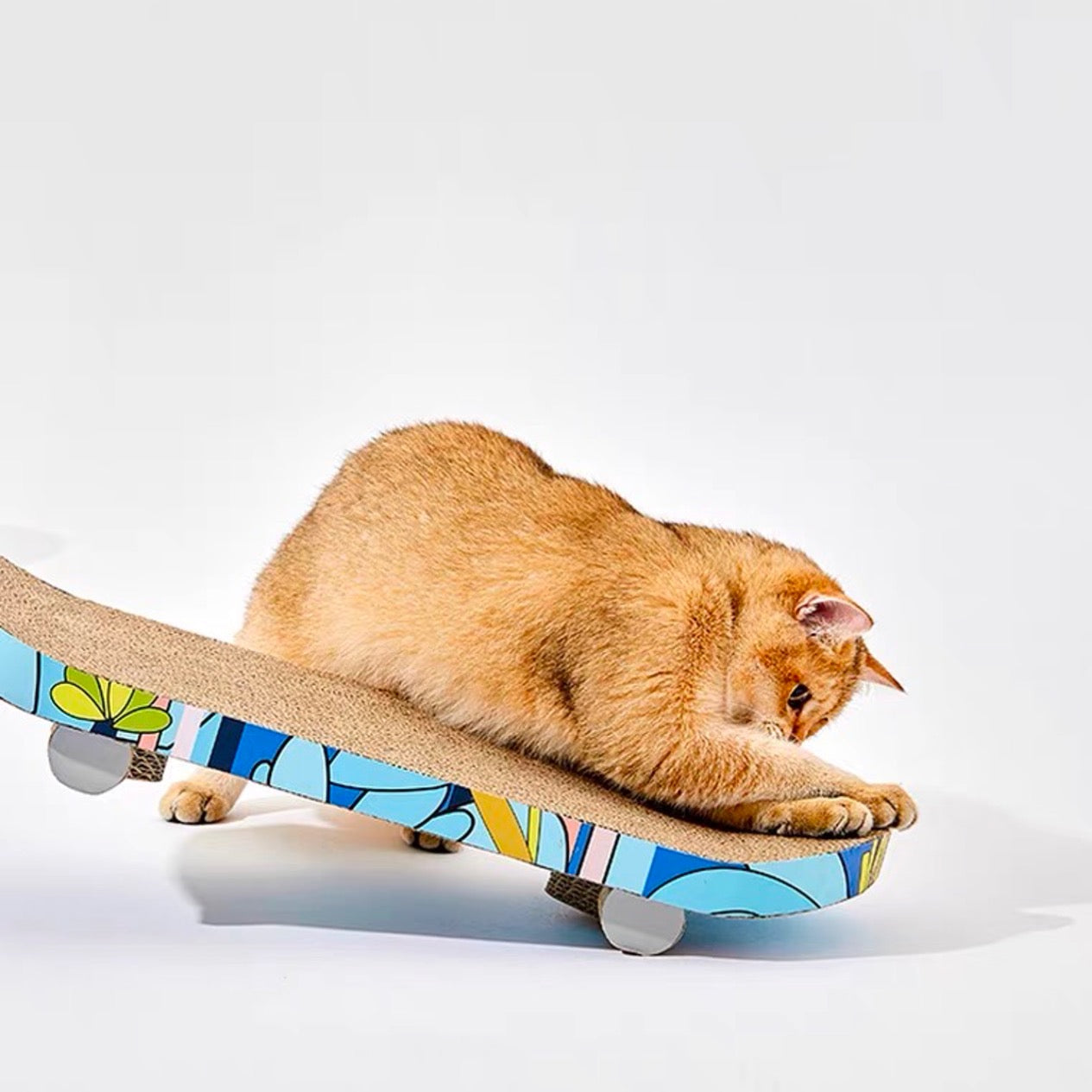 Snazzy Skateboard Cat Scratcher - Petites Paws