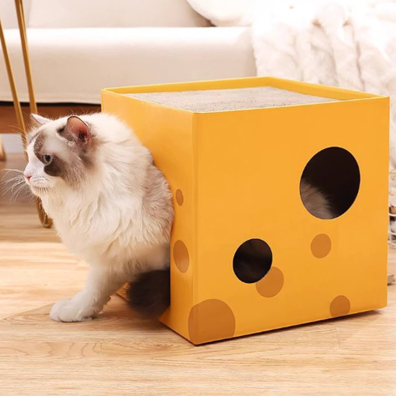 Say Cheese Cat Scratcher Cube - Petites Paws