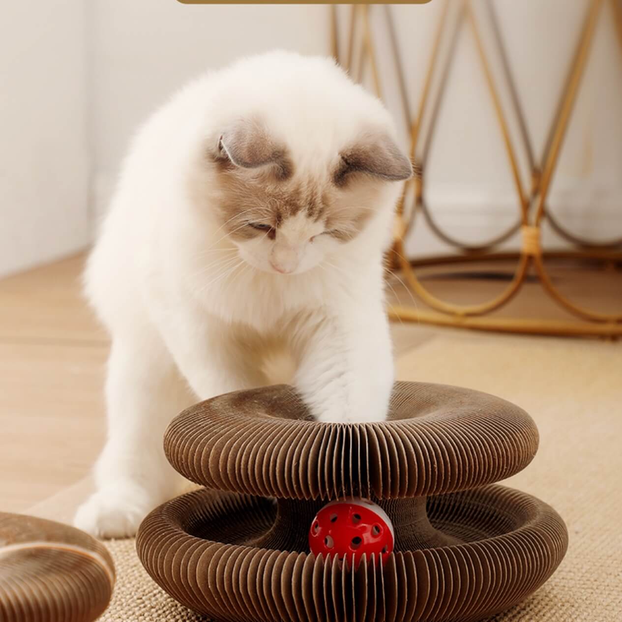 Expandable Accordion Ball Track Cat Scratcher