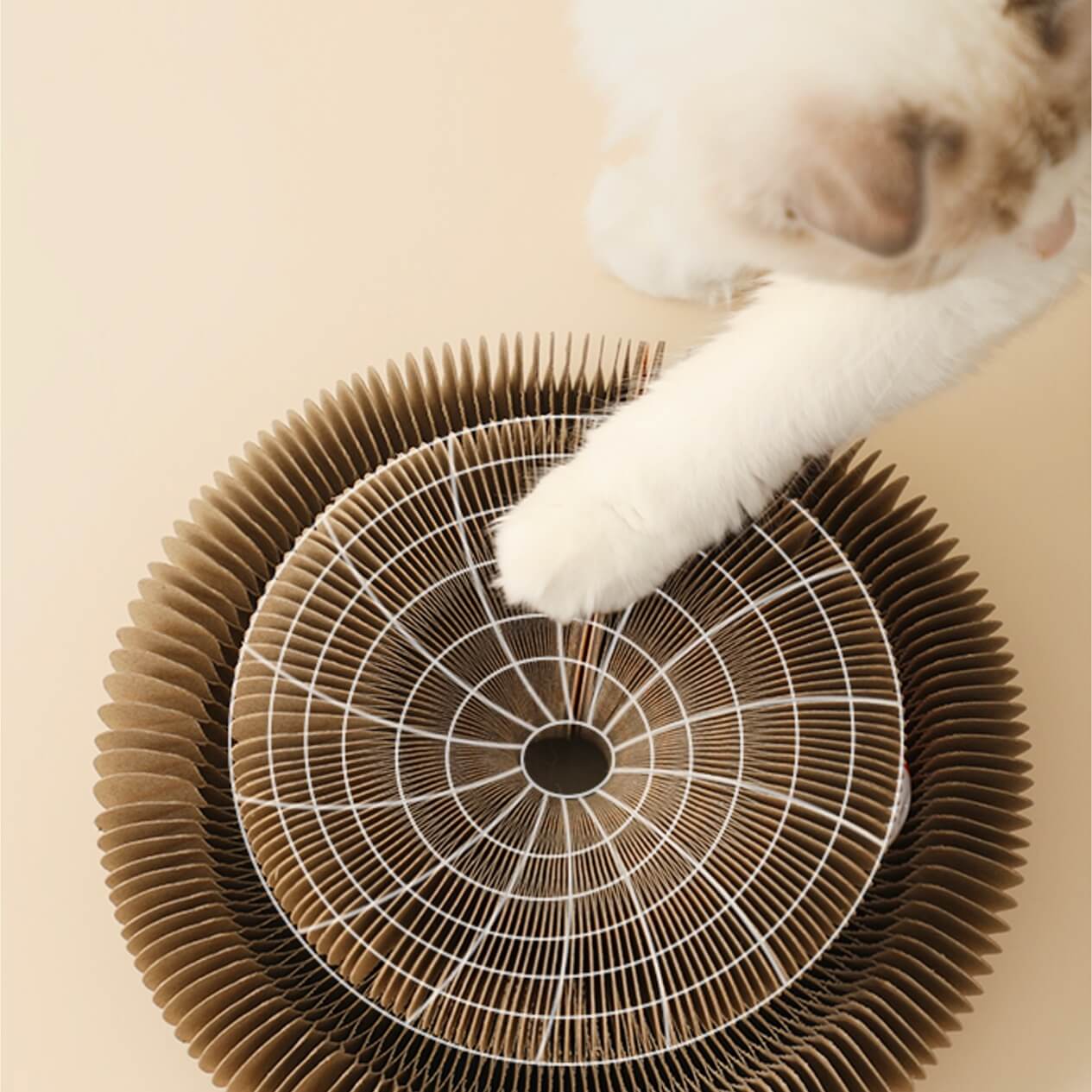 Expandable Accordion Ball Track Cat Scratcher