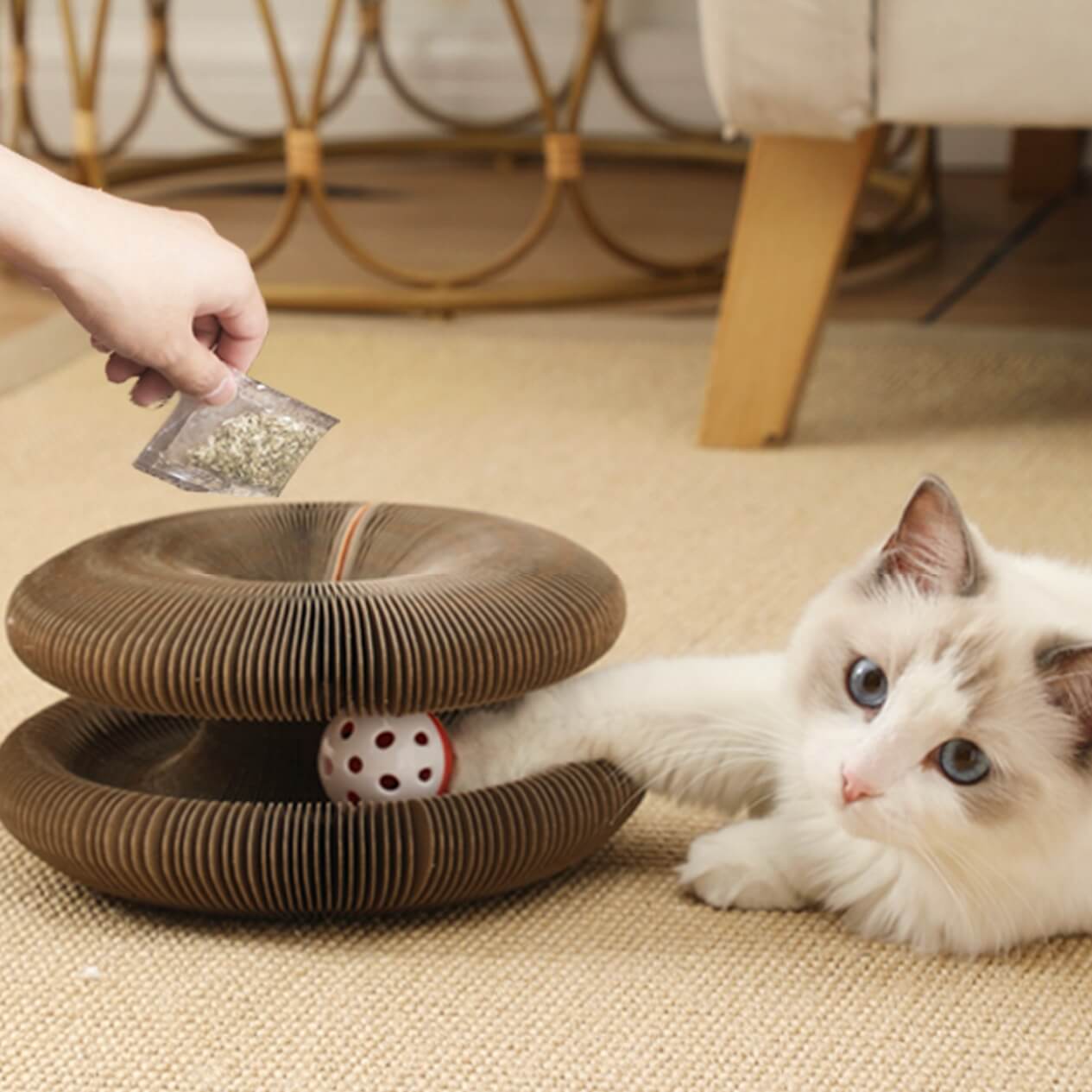 Expandable Accordion Ball Track Cat Scratcher Petites Paws