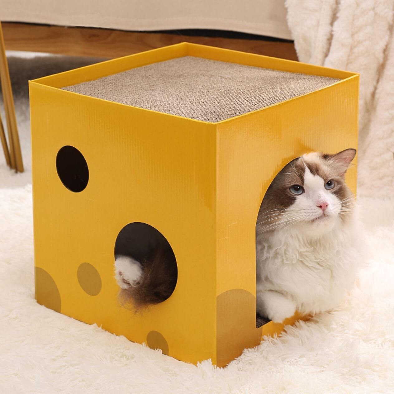 Diy cardboard shop cat scratcher cube