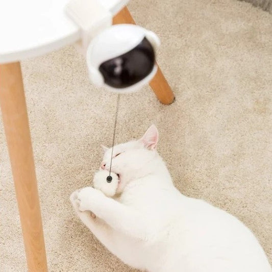 Smart Edge Ball - Electronic Interactive Cat Toy