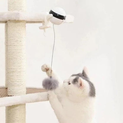 Smart Edge Ball - Electronic Interactive Cat Toy - Petites Paws