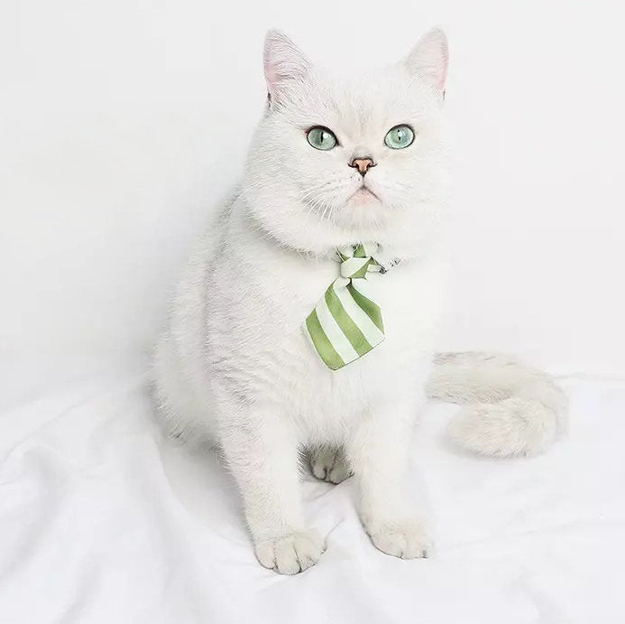 Striped Business Cat Necktie, Green - Petites Paws