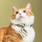 Striped Business Cat Necktie, Green