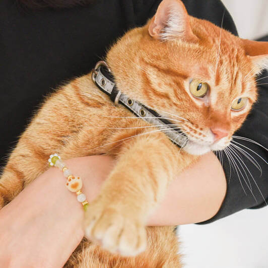Cat Paw Bodhi Agate Green Bracelet