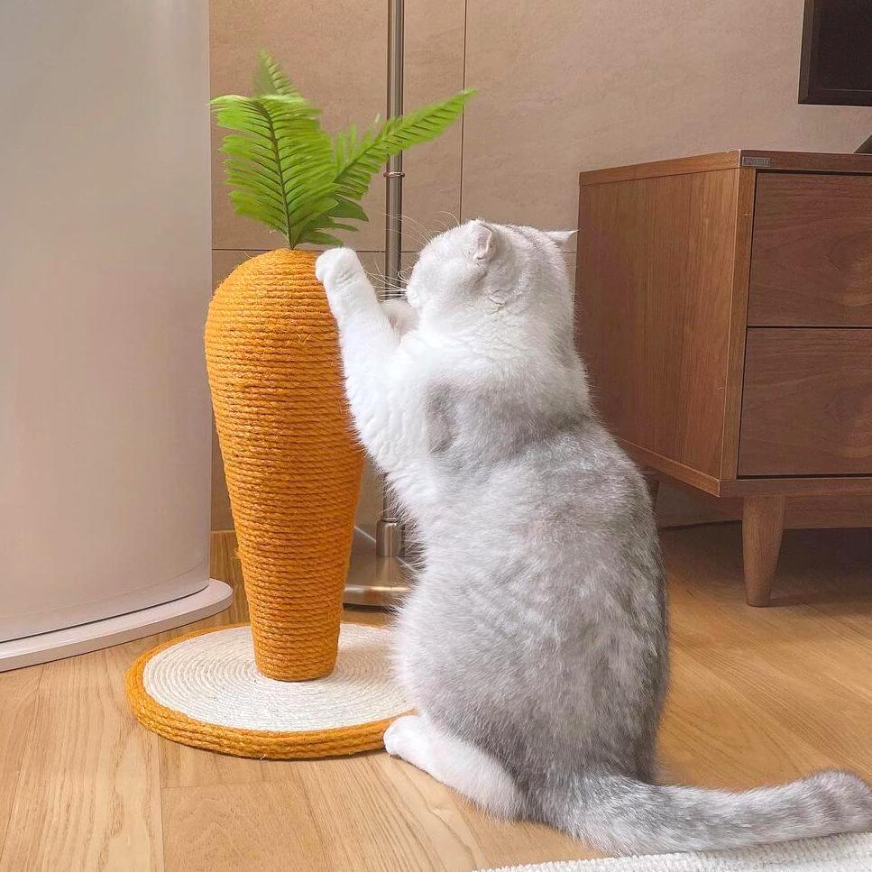 Clawsome Carrot Cat Scratching Post