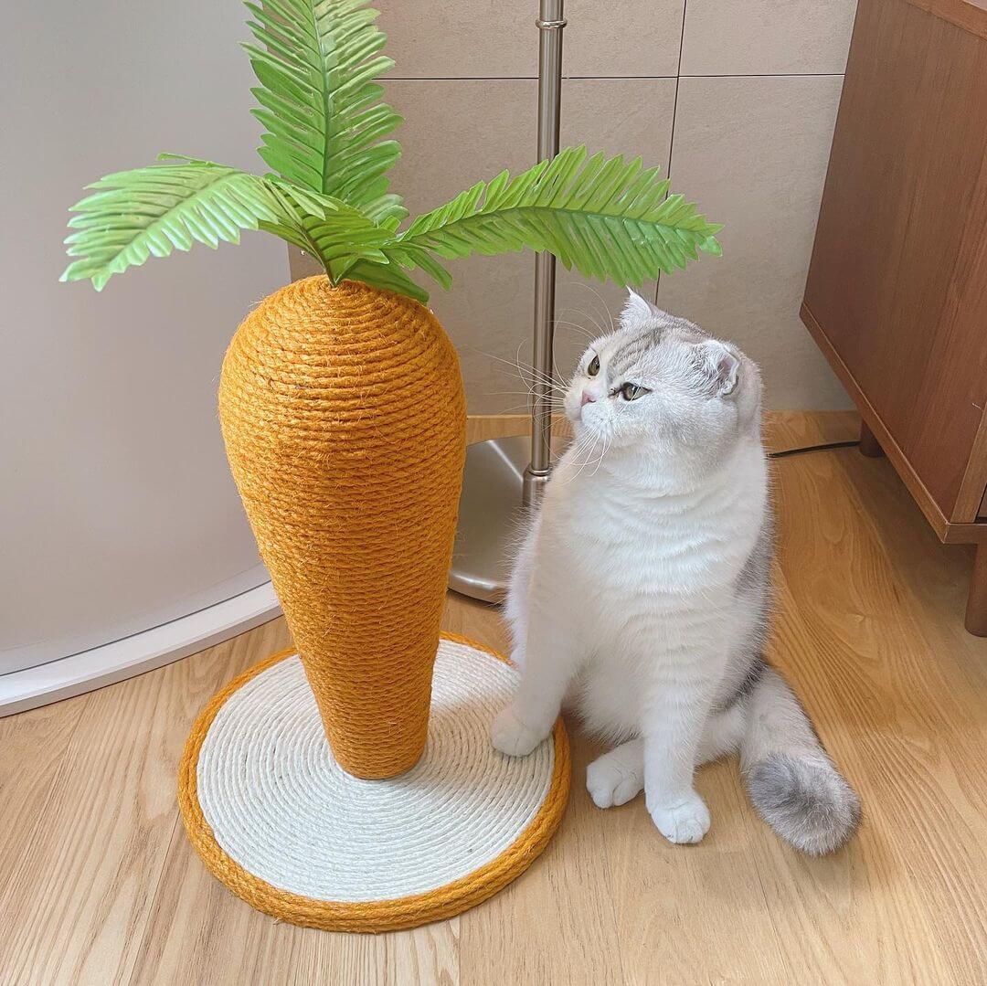 Clawsome Carrot Cat Scratching Post