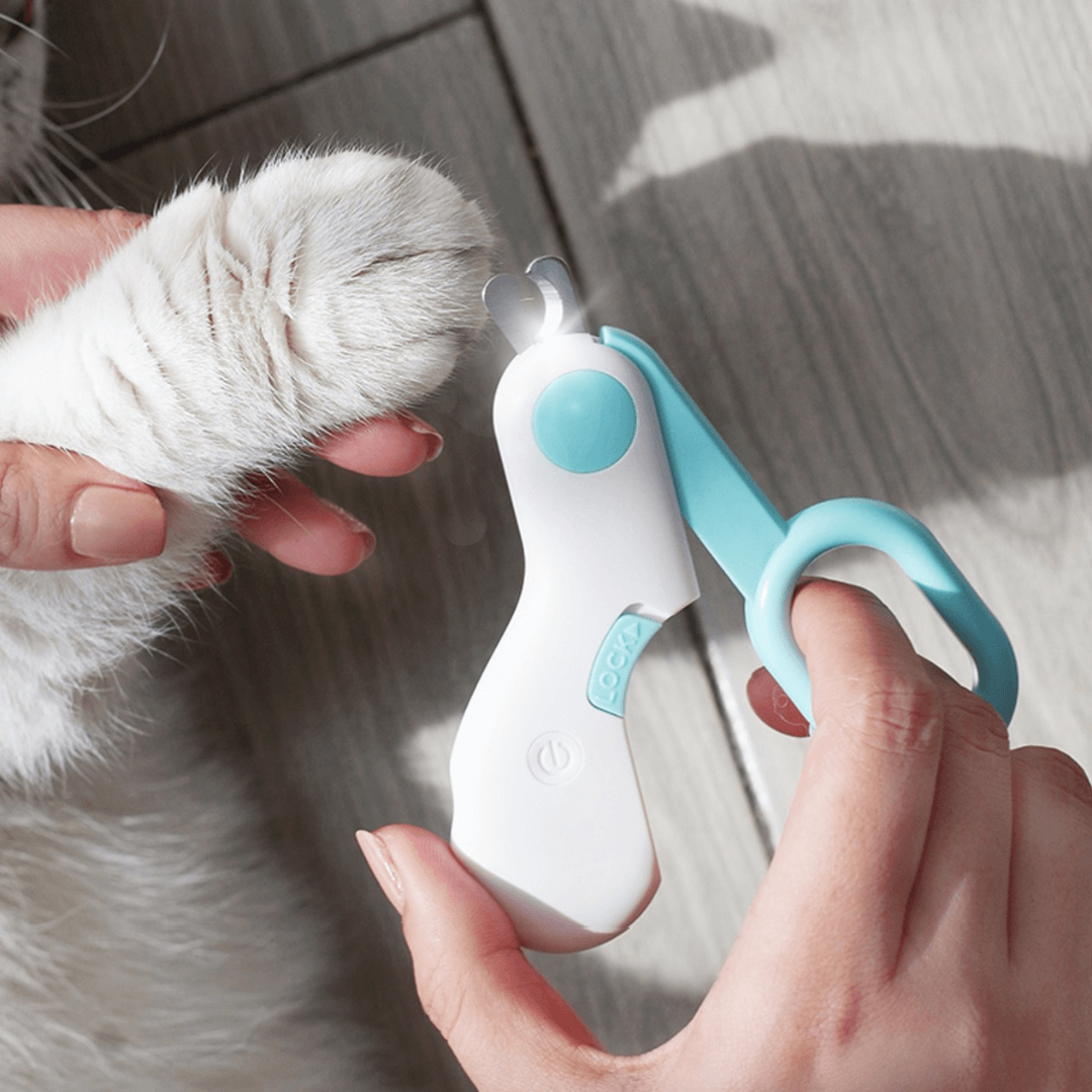 Cat Nail Scissor with LED Light