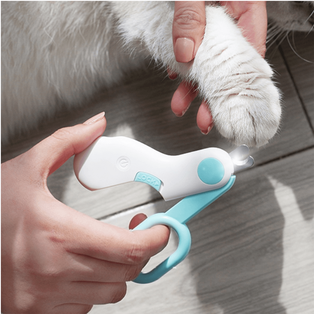 Cat Nail Scissor with LED Light