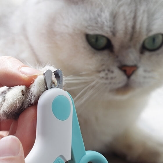 LightTrim Cat Nail Scissors with LED Light Petites Paws