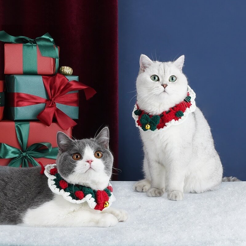 Two cats with Crochet Christmas Cat Collar